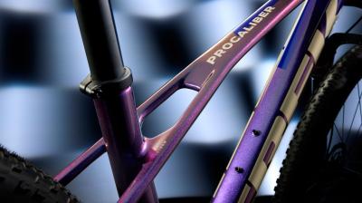Trek Procaliber 9.6 L 29 Dark Web Produktbild 6
