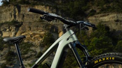 Trek FUEL+ EX 9.7 EU M Lichen Green/Keswick Green Splat Produktbild 6