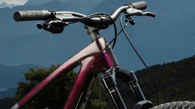 Trek Fuel EX 5 S Lithium Grey/Trek Black Splatter Produktbild 6
