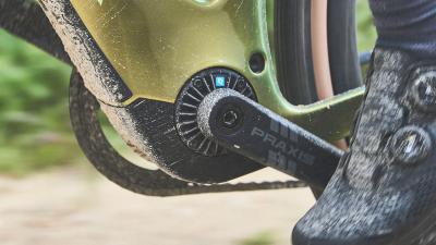 Trek Checkpoint+ SL 5 EU L Matte Bronze Age/Dark Web Produktbild 5